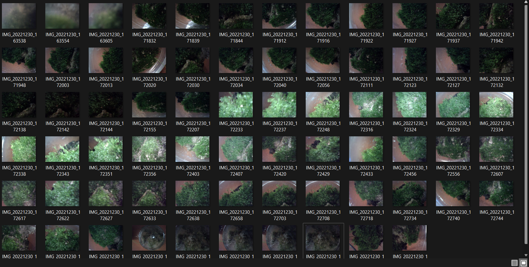 project_image_116